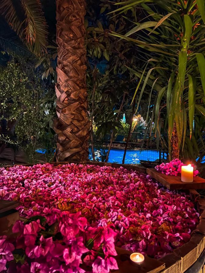Barros Wellness & Spa Resort Boutique Los Andes Exterior photo
